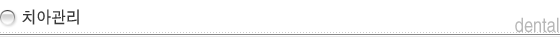 치아관리